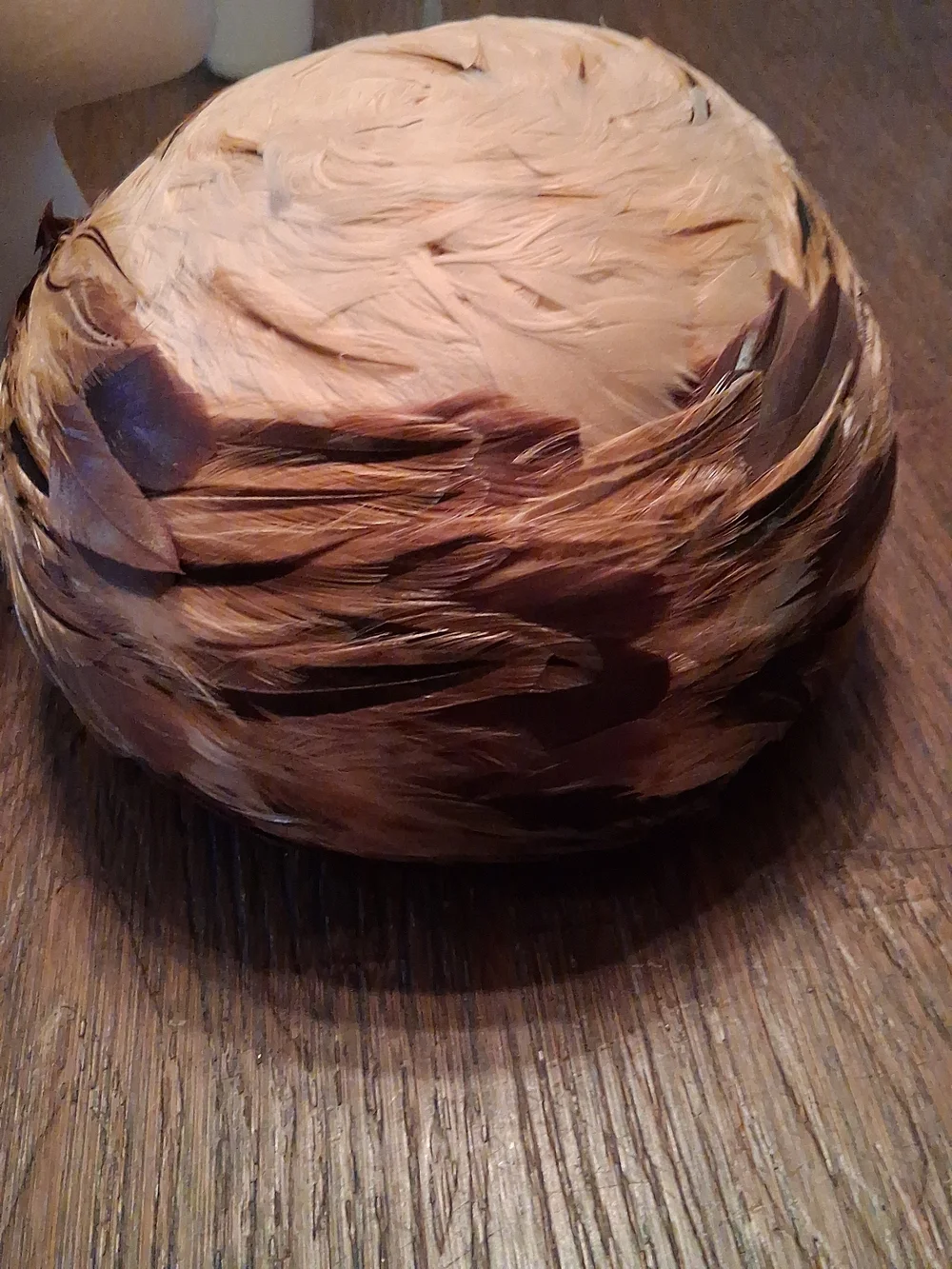 Large Feather Cloche Hat in Brown and Tan
